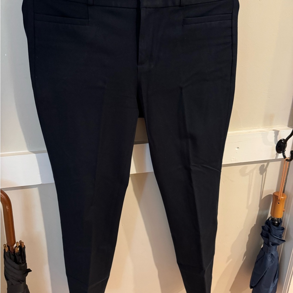 Banana Republic Sloan Womens Dark Navy Pants